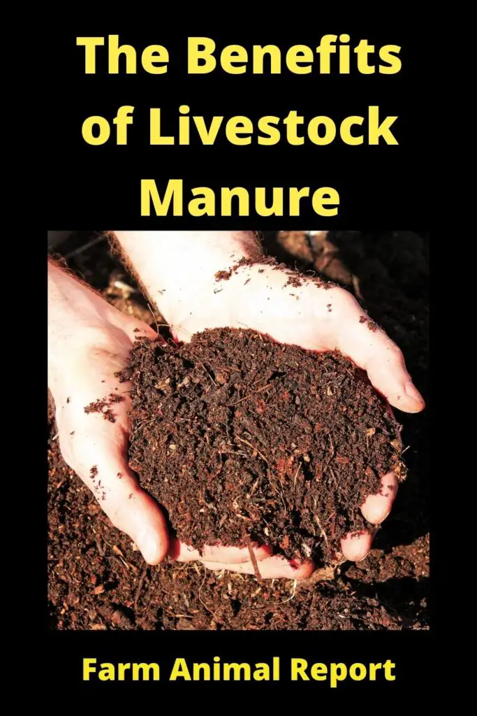 The Benefits of Livestock Manure 1