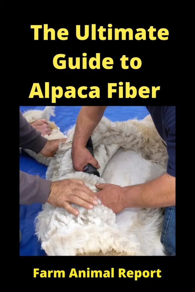 The Ultimate Guide to Alpaca Fiber **WOOL** 2