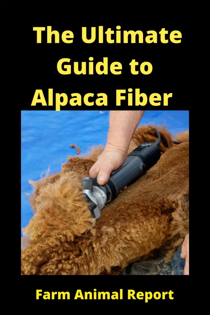 The Ultimate Guide to Alpaca Fiber **WOOL** 1