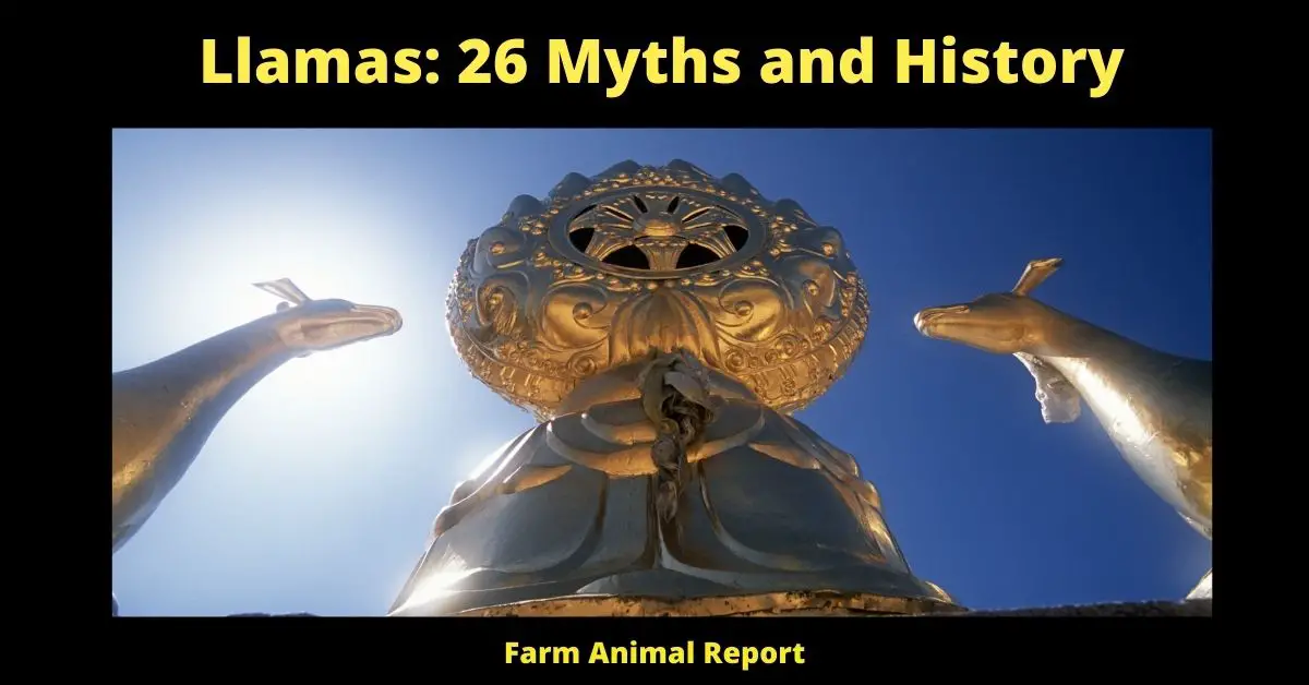 lamas: 26 Myths and History
