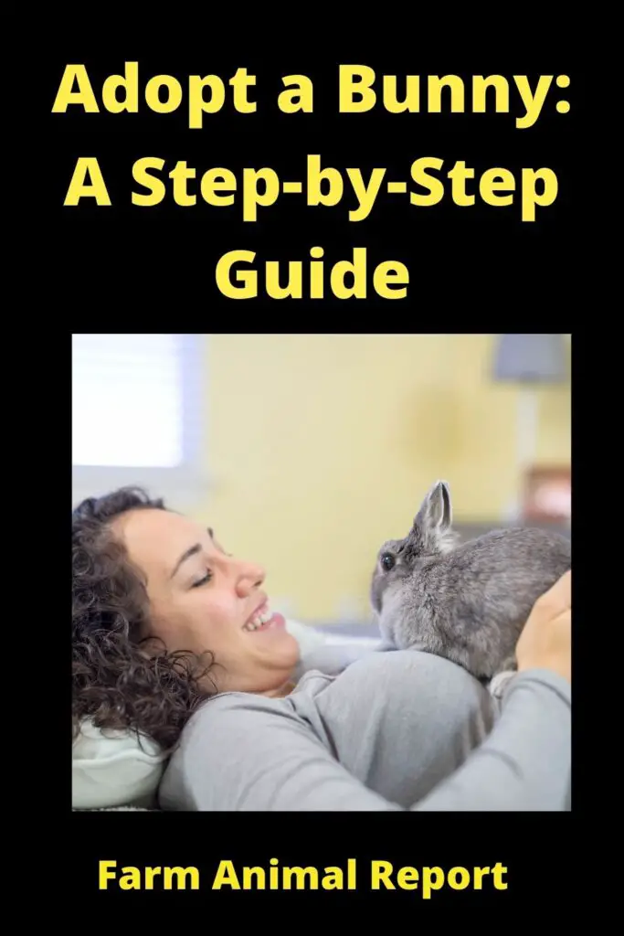 Adopt a Bunny: A Step-by-Step Guide 4