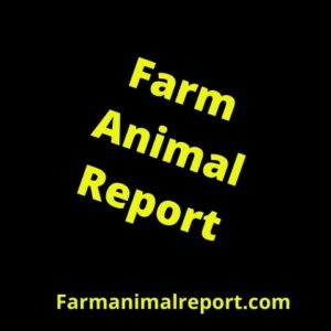 Fram Animal Report 480x480