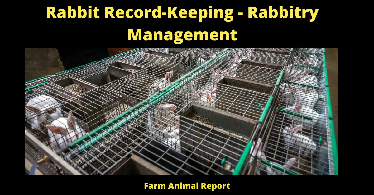 Rabbit Record-Keeping - Rabbitry Management