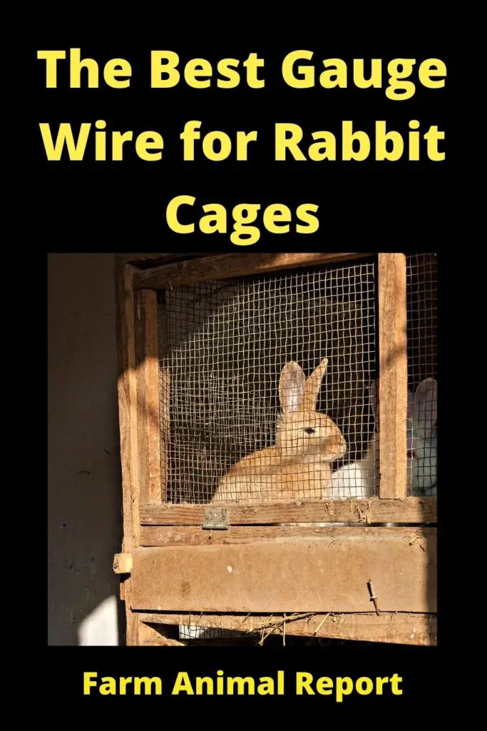 Rabbit Cage Floor Wire - The Best Gauge 2