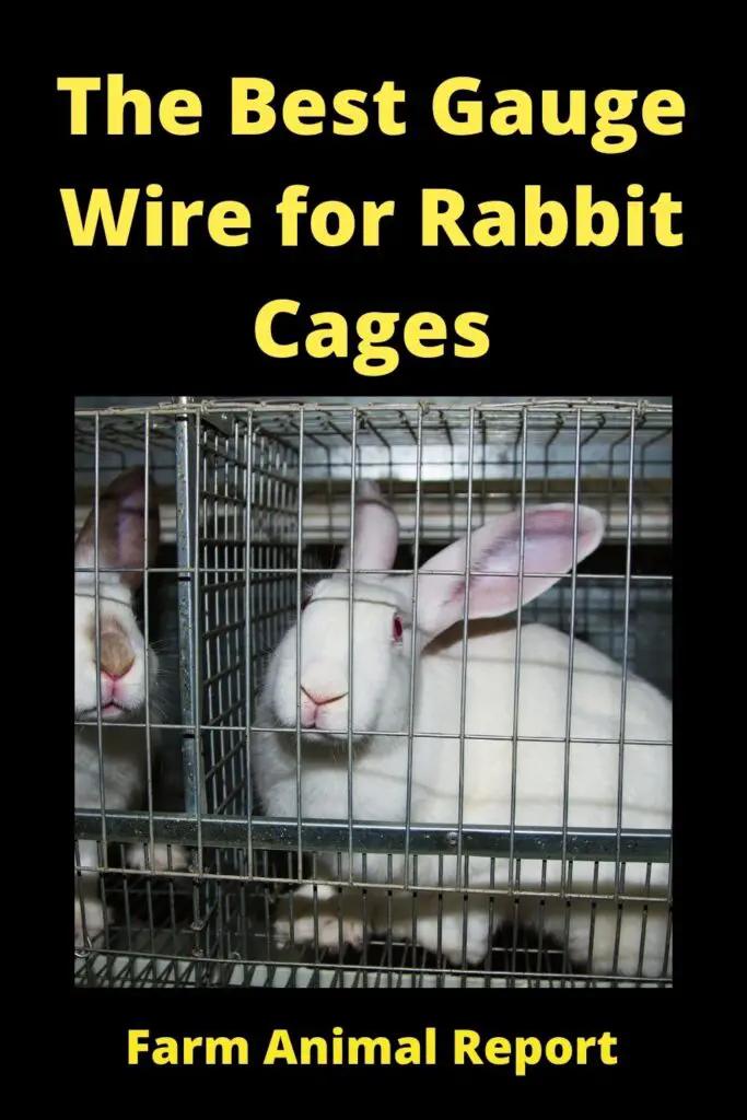 Rabbit Cage Floor Wire - The Best Gauge 3