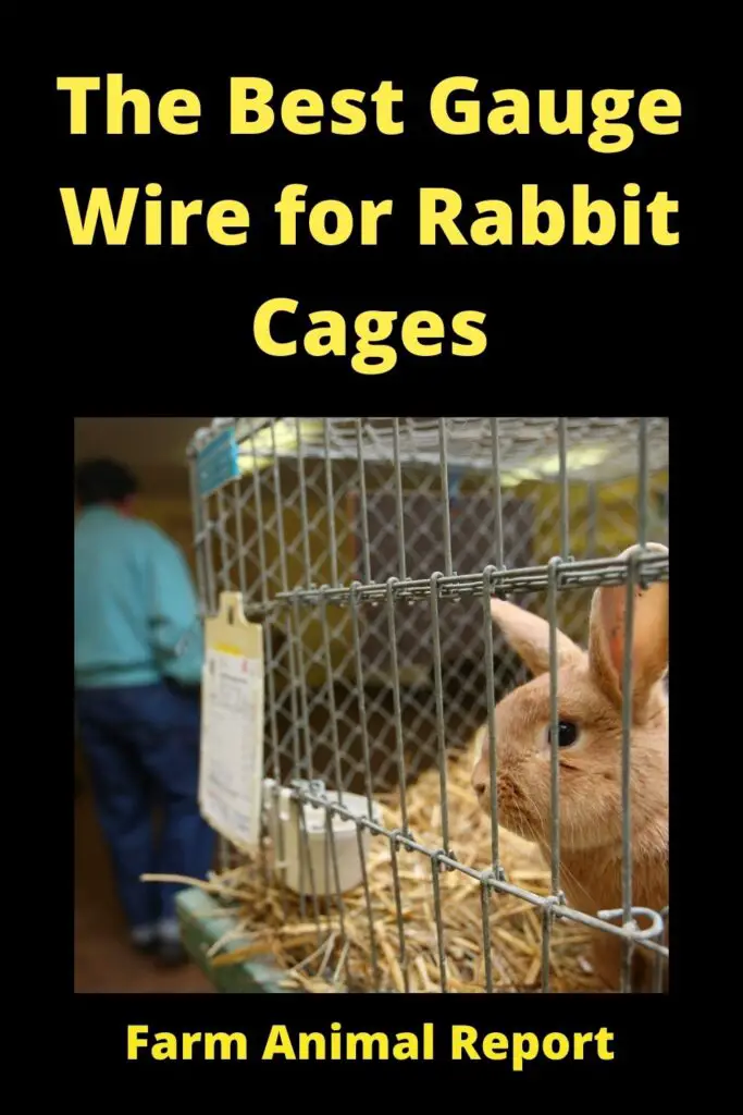 Rabbit Cage Floor Wire - The Best Gauge 4