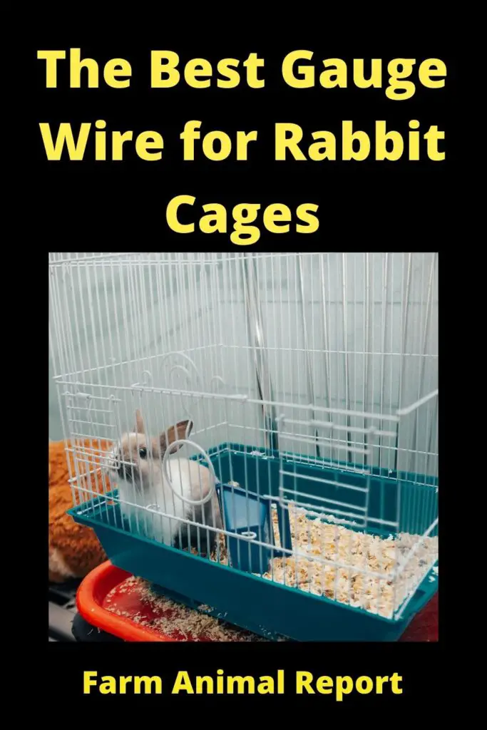 Rabbit Cage Floor Wire - The Best Gauge 1