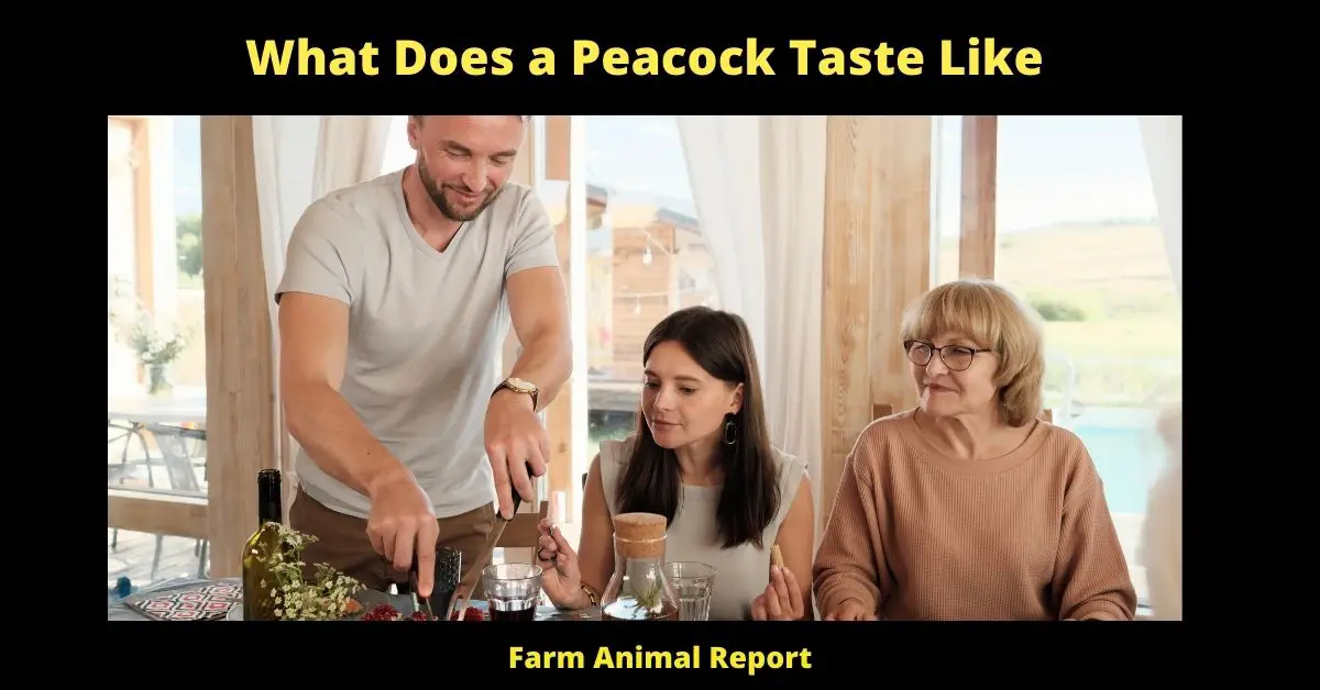 What Does a Peacock Taste Like
