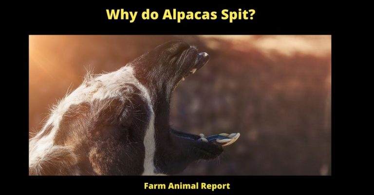 The Stuff About Jackpotycasino You Probably Hadn't Considered. And Really Should