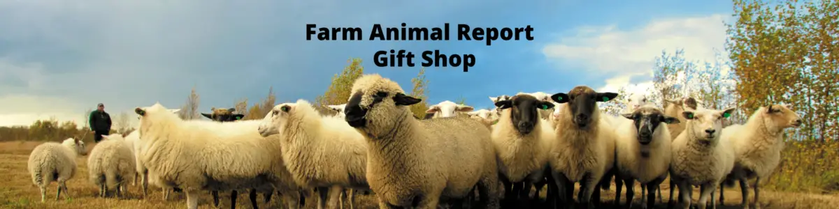 Farm mAnimal Report Gift Shop