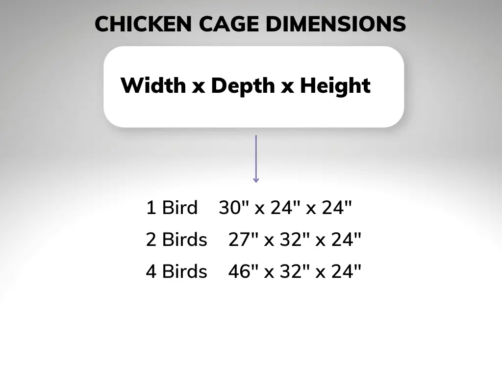 How many Chickens per Acre (2023)? (Homestead or Free Range) 2
