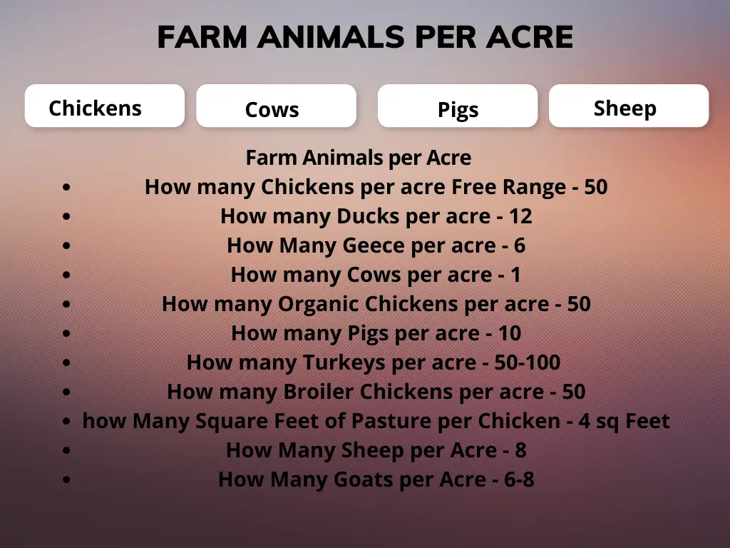 How many Chickens per Acre (2023)? (Homestead or Free Range) 3